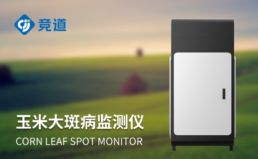 玉米大斑病防治新手段，玉米大斑病監(jiān)測儀提升病害治理能力