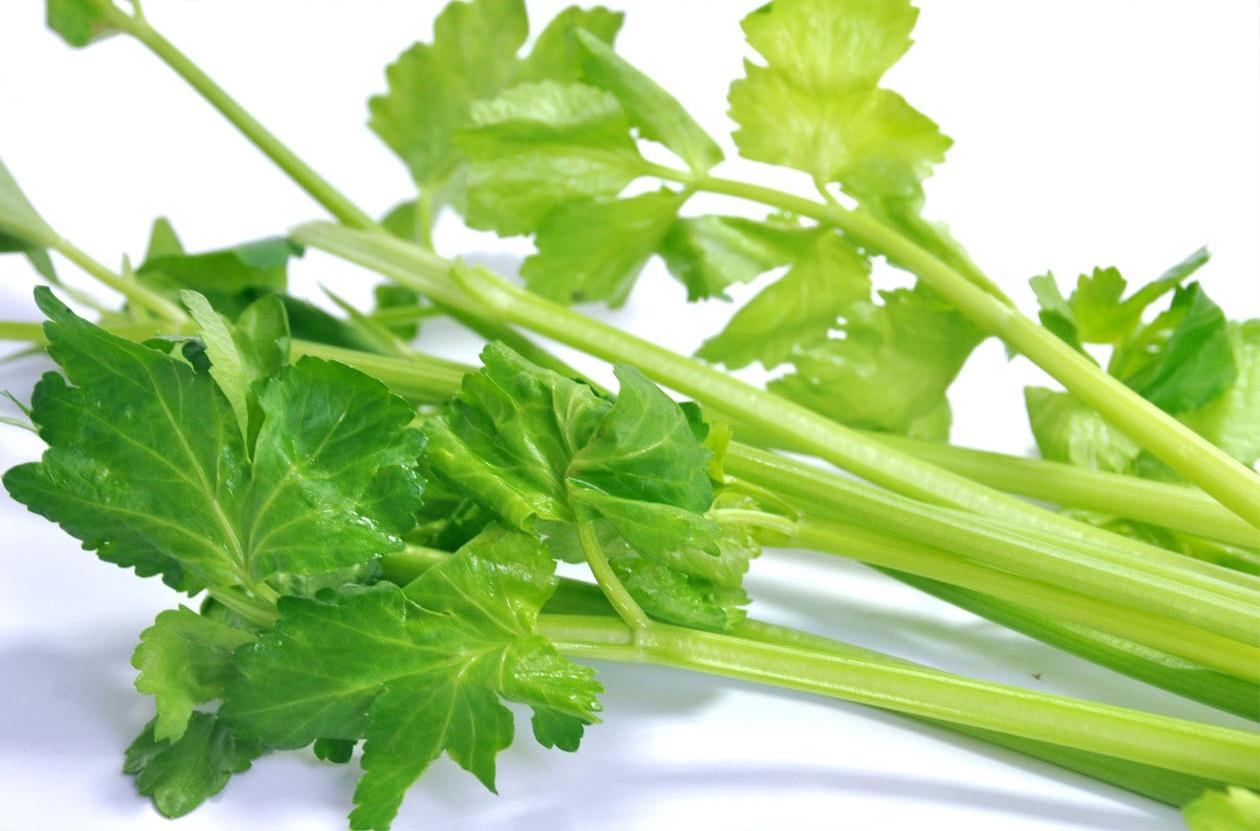 蔬菜是個(gè)寶，這些部位也更好！