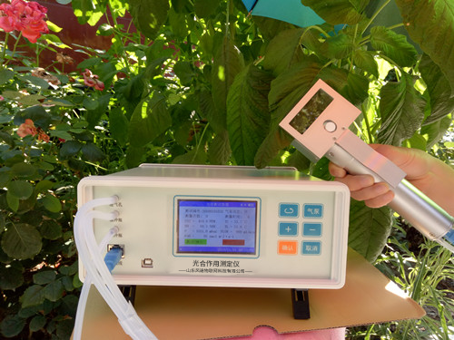 植物氣孔針有何應(yīng)用？