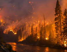  JD-SLQX森林氣象站防范森林火災(zāi)