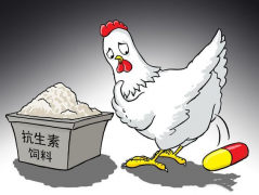 食品抗生素層出不窮，如何檢測？