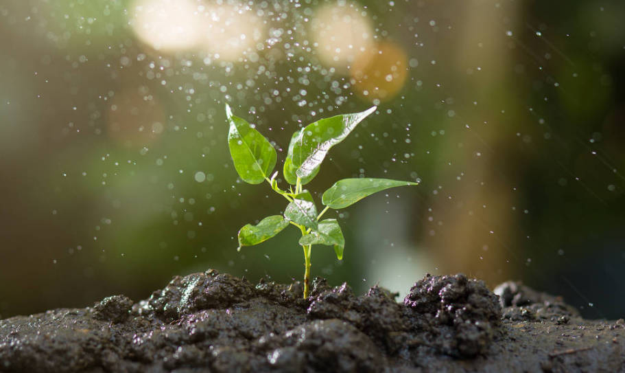 農(nóng)業(yè) 農(nóng)業(yè)